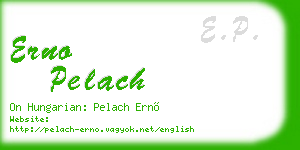 erno pelach business card